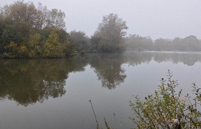 Start of the round of 16 of Pas-de-Calais' favorite natural area.