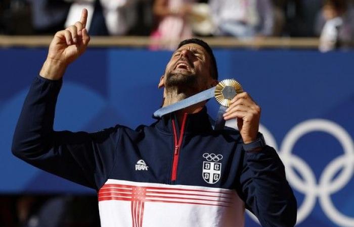 Djokovic saves 200,000 francs with his injury