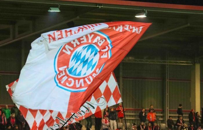 Football: A supporter of the Bayern Munich – Benfica match dies