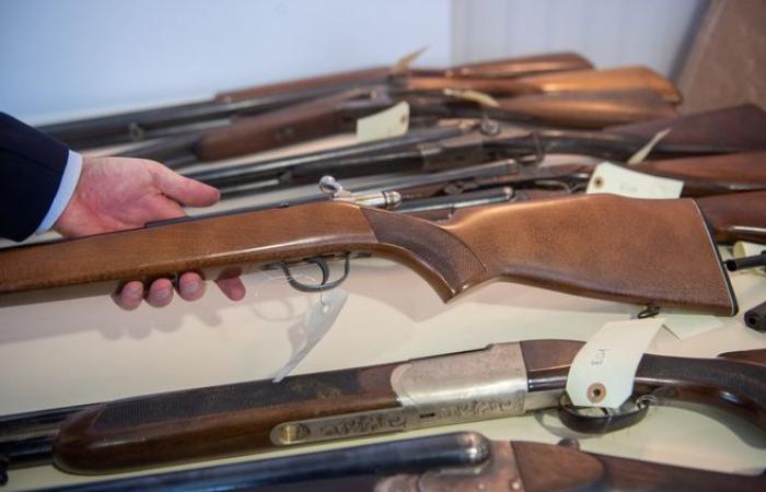 Compulsory declaration of firearms: “it’s a bit of a race against time” in Nièvre