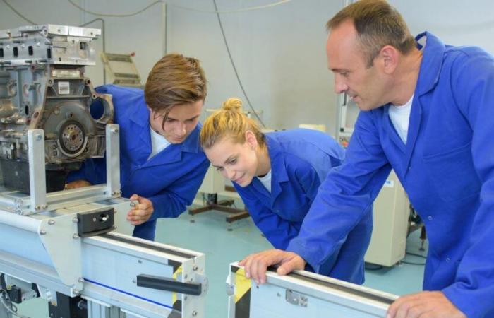 Vocational training in dual mode continues to appeal in Neuchâtel – rts.ch