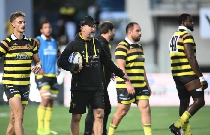 Pro D2 – Stéphane Prosper (Stade Monois): “Stade Monois is a sick beast that must be quickly treated”