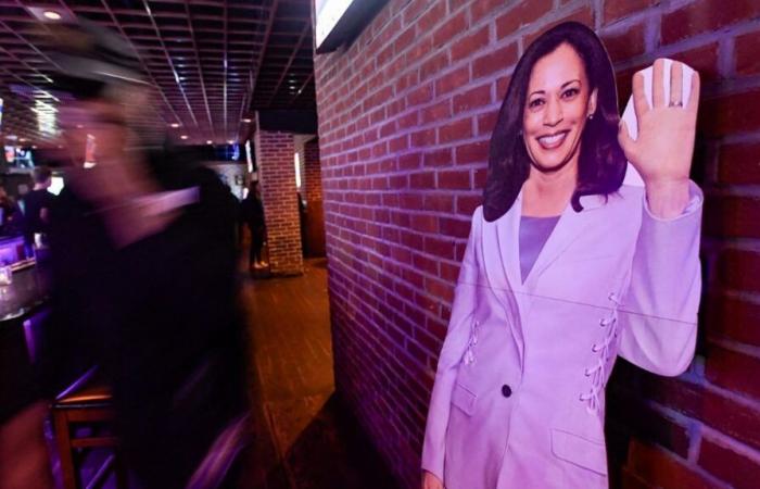 how to explain the electoral rout of Kamala Harris, largely beaten by Donald Trump?