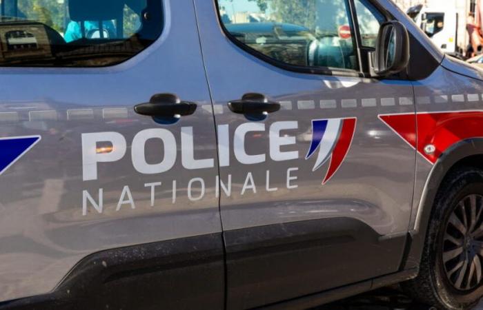 Ille-et-Vilaine. Five-year-old child shot in the head no longer risks death