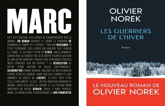 the Flore prize was awarded to Benjamin Stock and the Jean Giono prize to Olivier Norek