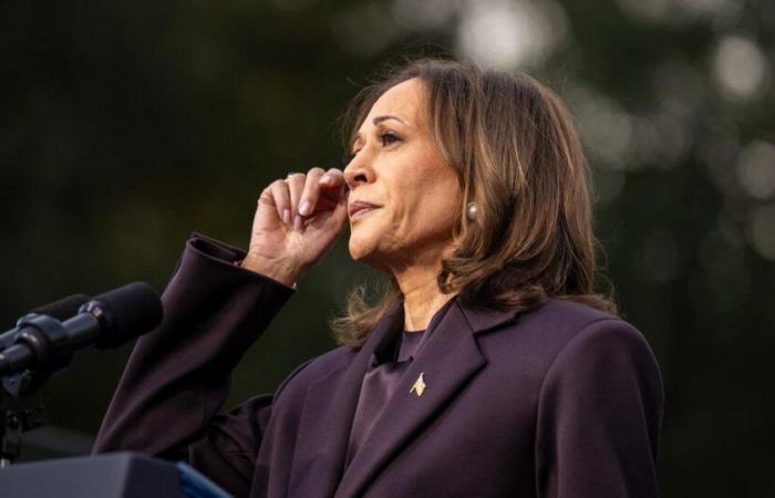 Beyoncé, Taylor Swift or Cardi B… These stars whose support was not enough for Kamala Harris