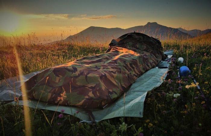 Two campers look at the stars, lying on the ground in their sleeping bags: a wild beast attacks them on the head