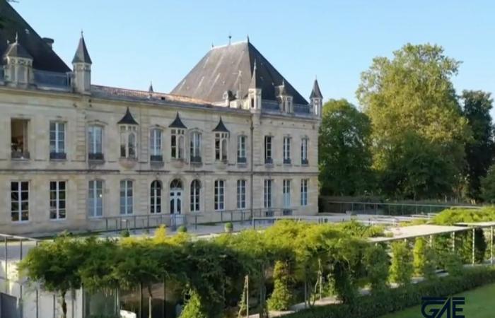 The regional chamber of accounts targets the Girondins de Bordeaux