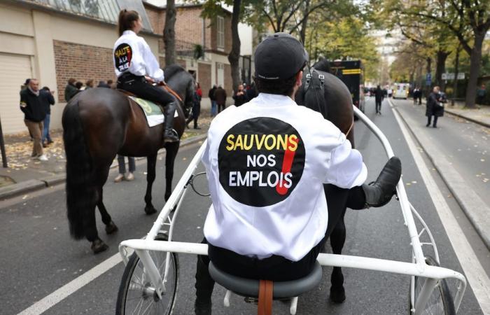 Racecourses closed, demonstration in Paris, the “survival reaction” of the world of horse racing