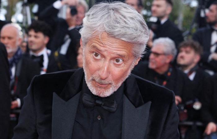 “Salad bowls of cocaine were not lying around”: Antoine de Caunes clarifies the preconceived ideas concerning the backstage of Canal+