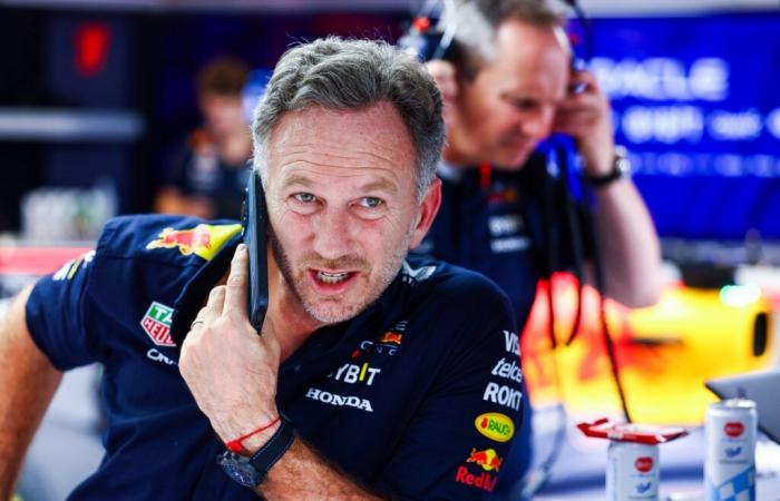 Christian Horner admits Red Bull spoke with Fernando Alonso