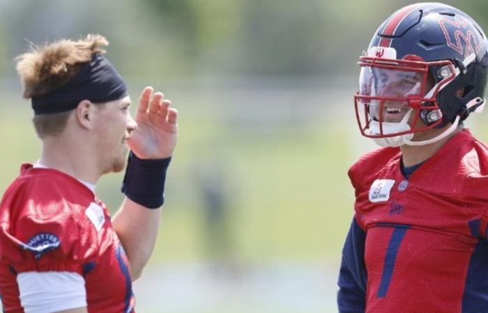 Alouettes: if Cody Fajardo ever gets into trouble against the Argonauts, Davis Alexander is ready