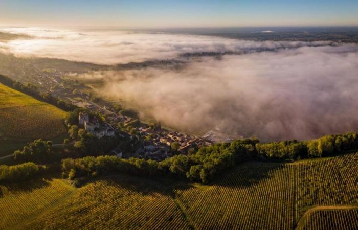 grayness reigns in the north of France