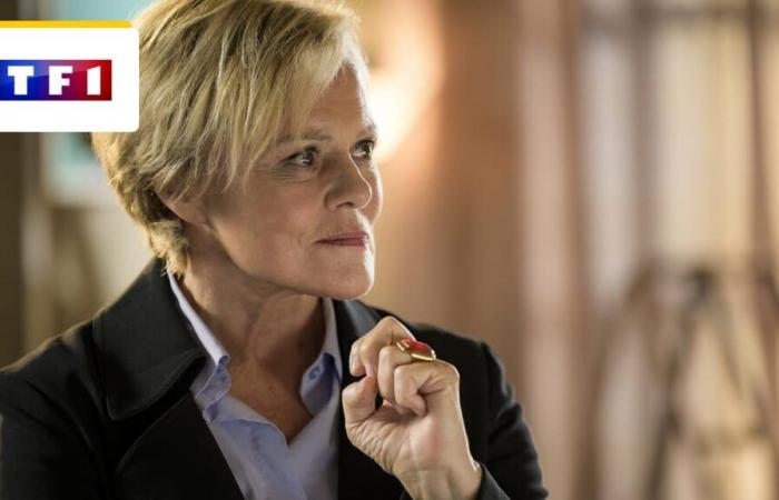 Master Crimes on TF1: will the series with Muriel Robin have a season 3? – News Series on TV