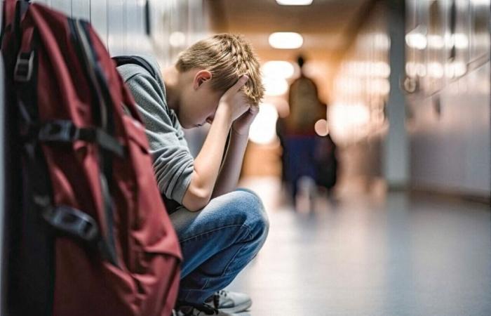 This Lot high school is testing an application to fight against cyberbullying