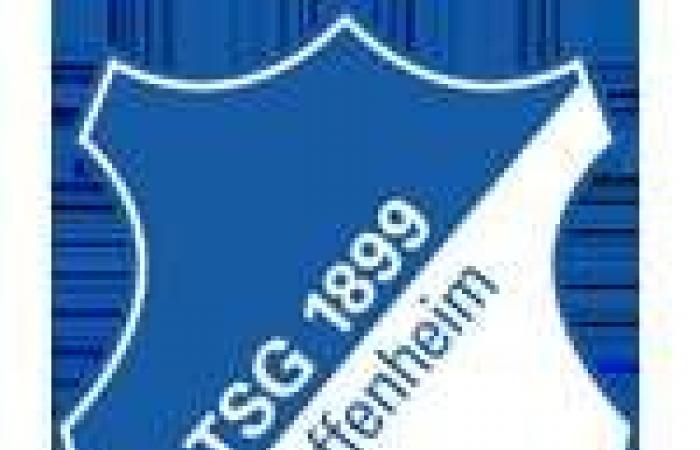 OL leaves Hoffenheim with a point – C3 – J4 ​​- Hoffenheim-OL (2-2)