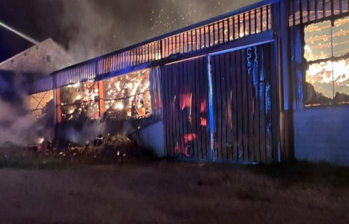 major fire in an agricultural shed of 1,000 m2