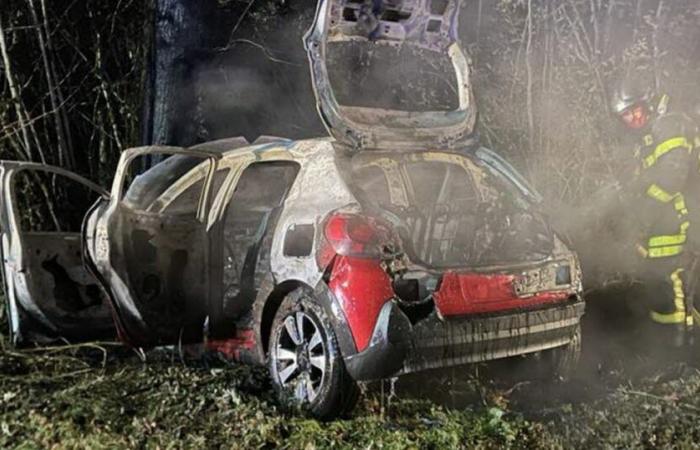 a young driver loses control and hits a tree, the car catches fire