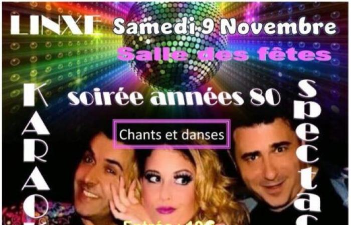 Ideas for outings – LANDES – Weekend of November 8-9-10