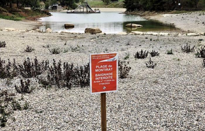 What future for Carcassonne Plage? A solution expected by the end of November