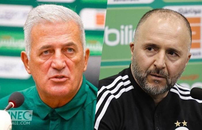 Fervent Belmadi defender attacks Petkovic