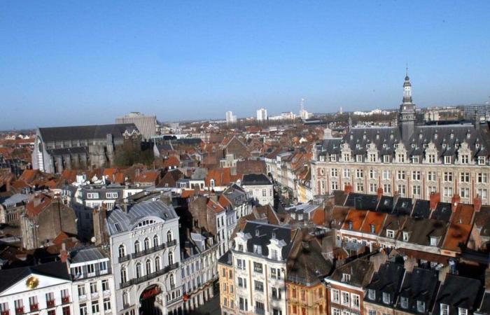 In Lille, the real estate market is resisting