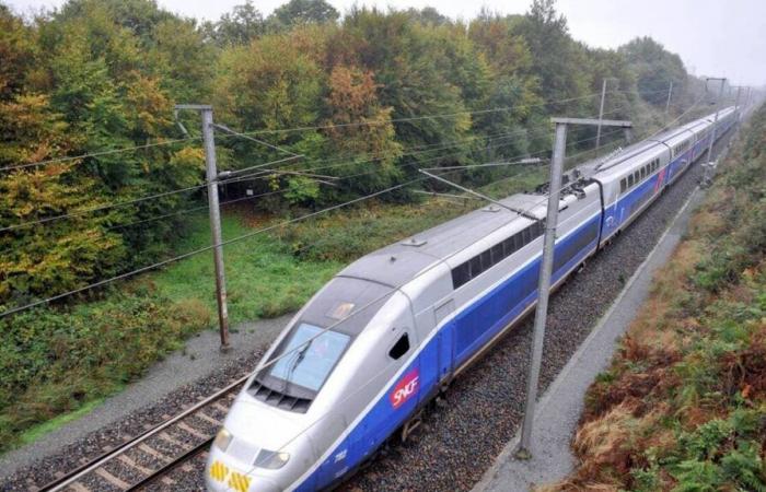 A person died in Vendée after being hit by a train