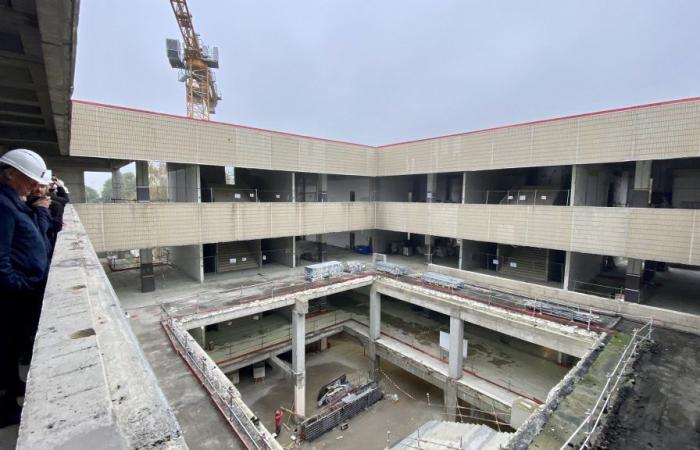 what will the gigantic Pont de Bois library look like?