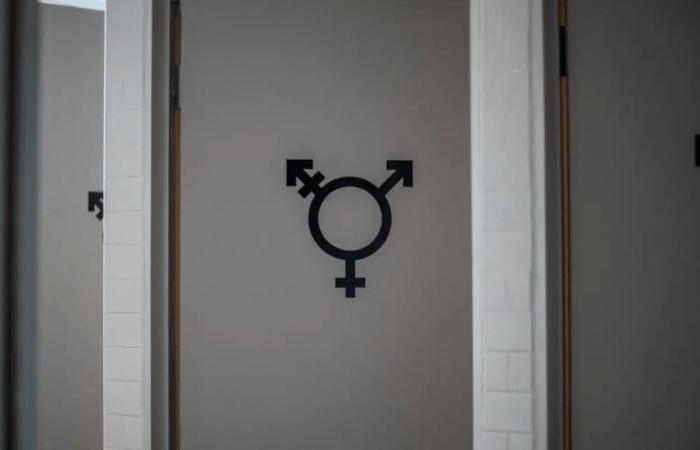 Gender-neutral toilets: the Vaud State Council flushes the toilet