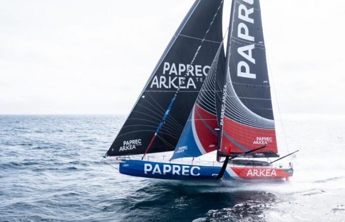 Sébastien Petithuguenin (Paprec): “Paprec has been involved in sailing almost since its beginnings”