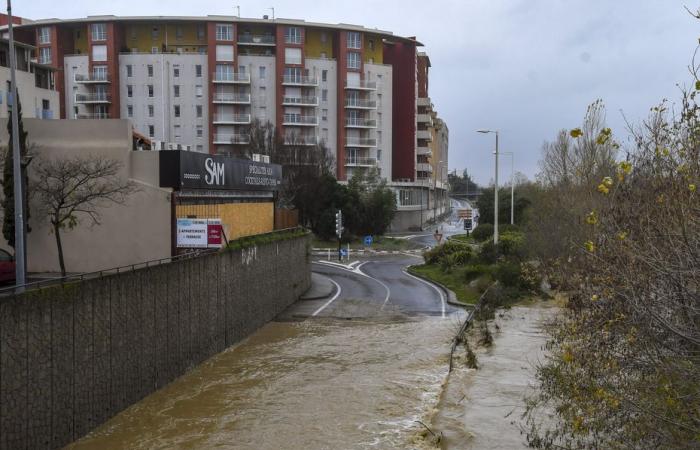 in the Pyrénées-Orientales, the risk of flooding is very real despite the drought