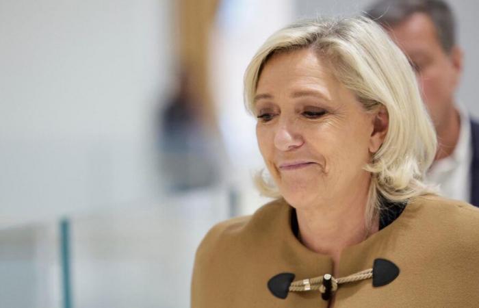 Why Donald Trump's victory is not such good news for Marine Le Pen