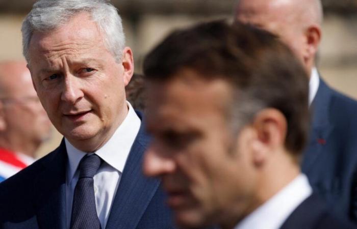 Bruno Le Maire and Emmanuel Macron, two suspects in the sights of the Senate investigation