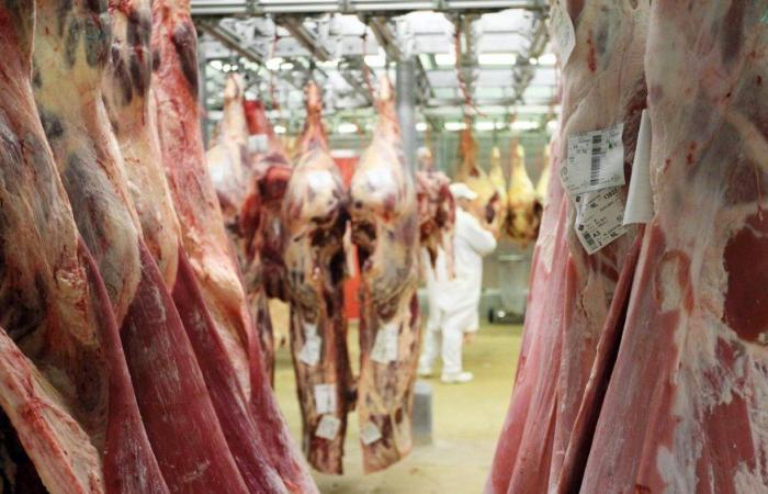 Sheep meat prices soar at Casablanca slaughterhouses