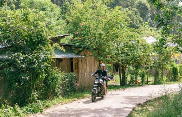 ‘Healing’ place in Quang Nam attracts tourists to camp, escape dust and chase clouds – Vietnam.vn