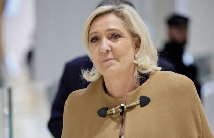 At the RN trial, Marine Le Pen says she is a candidate for the 2027 presidential election and is worried about a penalty of ineligibility