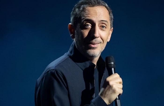 Gad Elmaleh admits he plagiarized American comedians, but denies stealing jokes from Quebecers