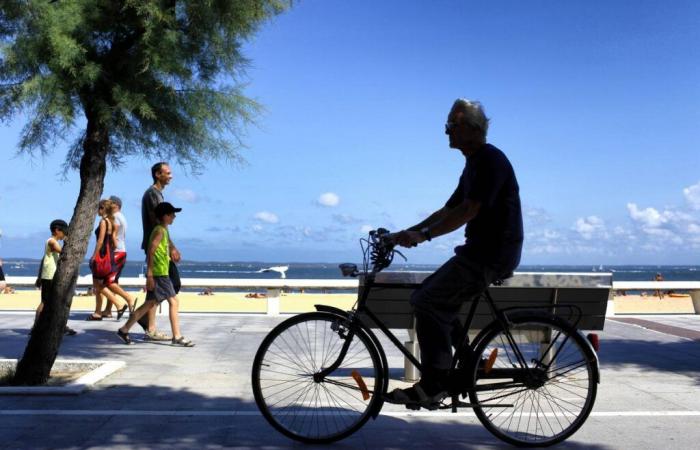 in the Arcachon basin, conflicts are beginning to emerge