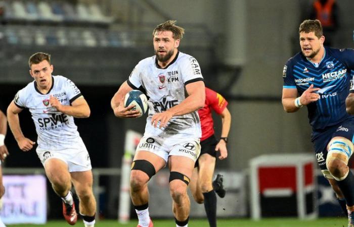 Transfers / Top 14 – Midol Exclusive. Toulon: destination Perpignan for Le Corvec