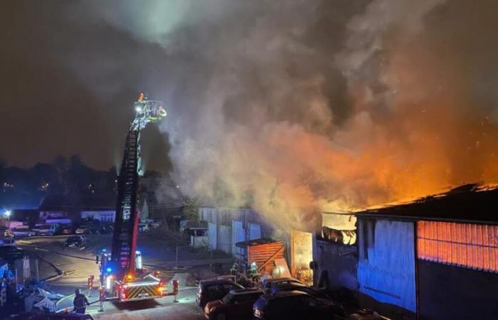 Colmar. A violent fire devastates a 2000 m² warehouse