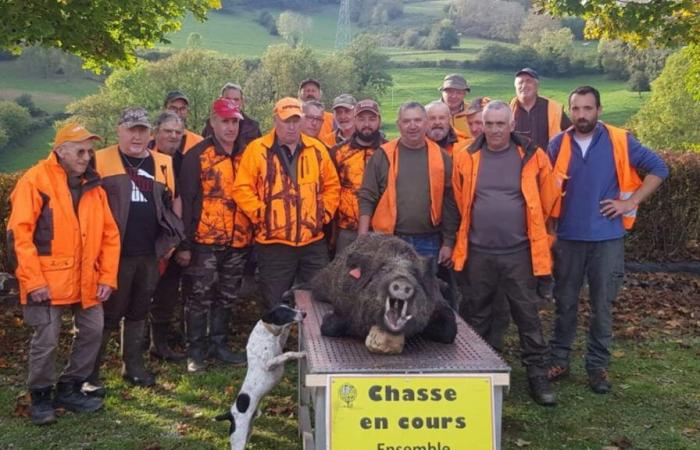 End clap for Phiphi, the star wild boar of Aveyron