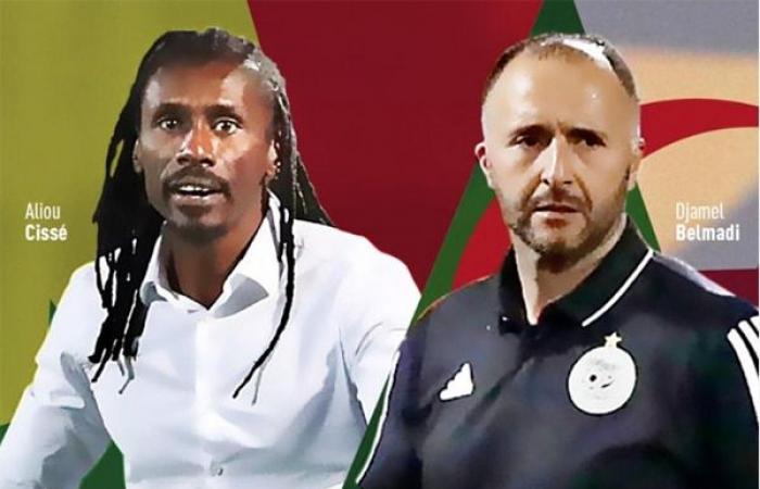 On the bench – Algeria-Senegal: Djamel Belmadi-Aliou Cissé, two unemployed XXL coaches – Lequotidien