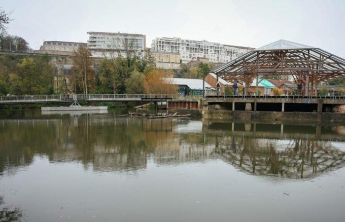 a body was found in the Clain in Poitiers