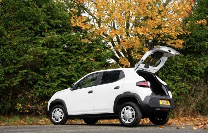 Dacia Spring Cargo: oddity from across the Channel