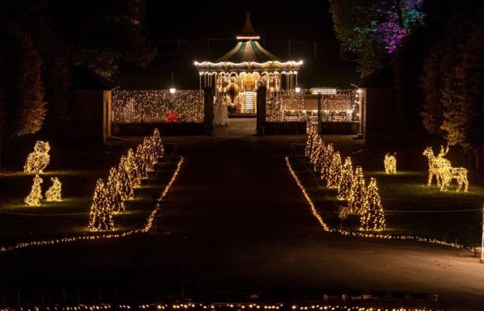 A new attendance record to come? Lumières en Seine takes over Halloween at the Domaine de Saint-Cloud