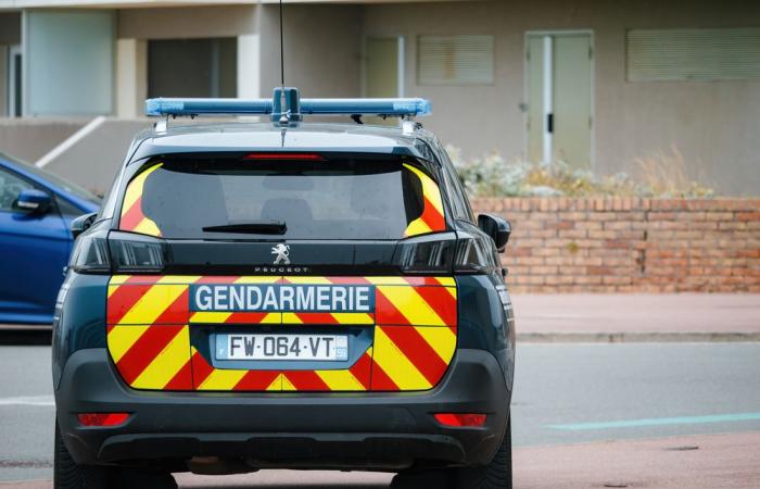 Asylum seeker bites gendarme after being arrested