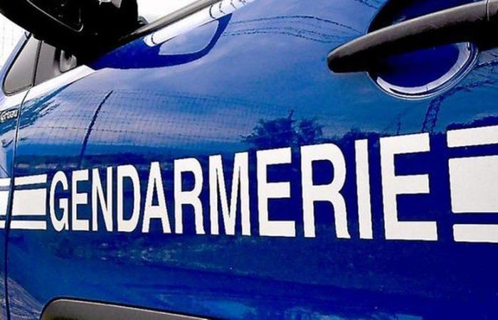 A 7-year-old little girl found dead in Puy-de-Dôme, her mother unconscious at her side: “It is a priori a family tragedy”