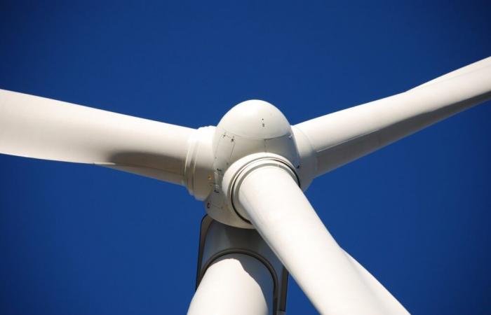 Maine-et-Loire. Noise pollution: 10 anti-wind turbine associations call on the prefect