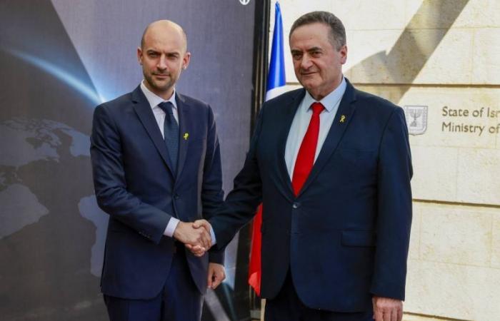 French Foreign Minister meets Israel Katz in Jerusalem