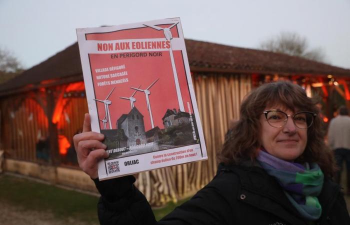 Dordogne villagers stop a public meeting around a wind project